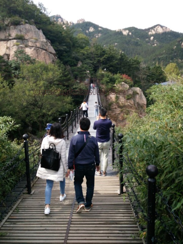 9324be7eb094fdccc1f6d3e1f3c03bf1_1637368