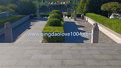 천태cc 새벽골프 추천 합니다.