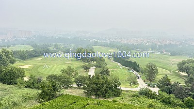 천태cc