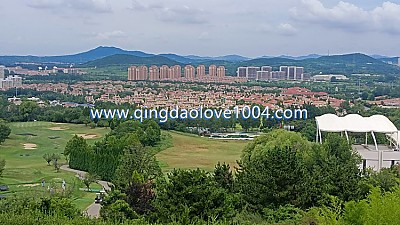 천태cc