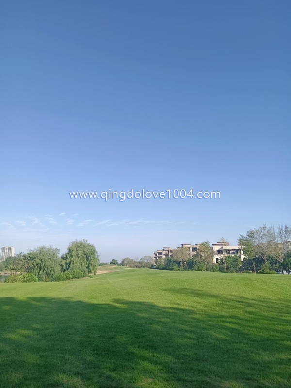 33929463f55402a6c4d0b2c9cf78dce6_1761690