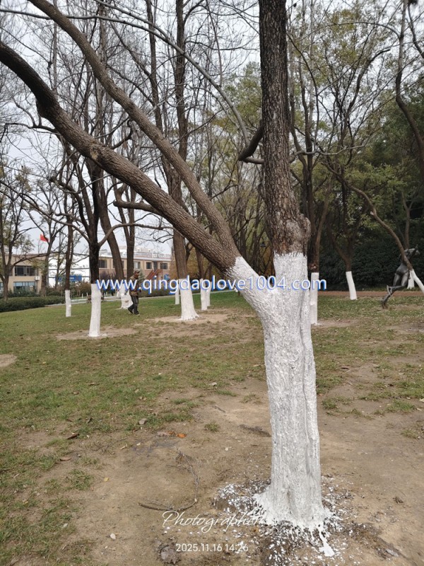 27668e8d4106e333f80d7290e9aadf3b_1763417