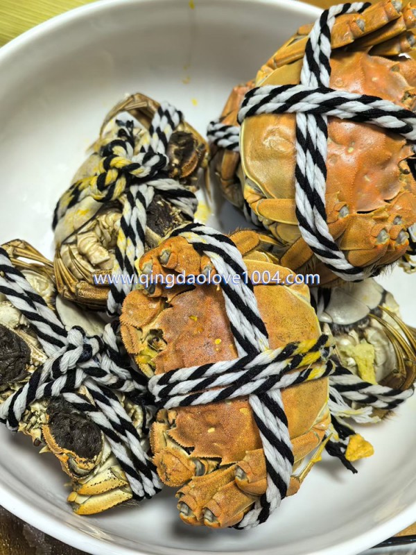 7a266b2387edd5966c11bc11897c94bb_1764112