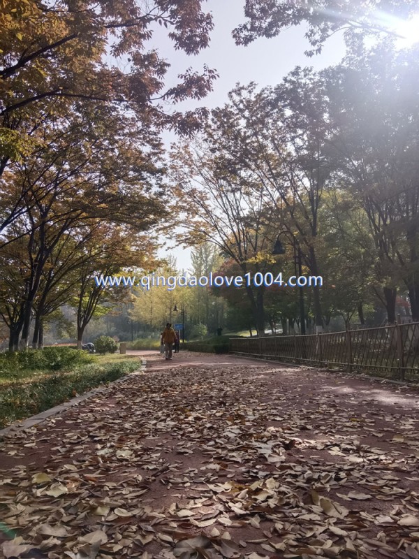 e043656a2db20a141e2f48eeb1e99446_1762210