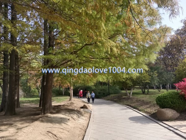 e043656a2db20a141e2f48eeb1e99446_1762210