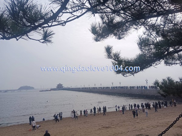 ebc6bd24961cbb46411c5cf0dc825d15_1762815