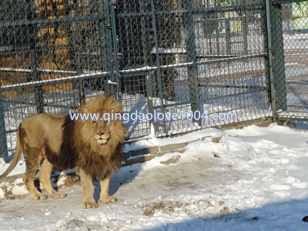 d89a37511175d6d0ec83fedbae7482bd_1767058