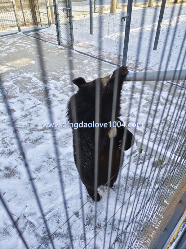 d89a37511175d6d0ec83fedbae7482bd_1767058