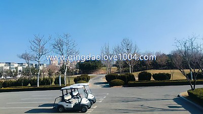 칭다오 내일날씨가 ~~~와우 !!