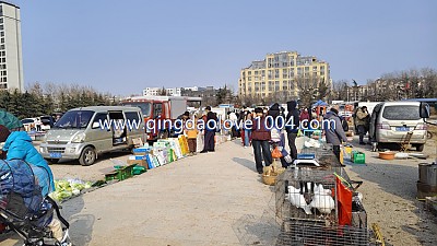 중국 칭다오 5일장