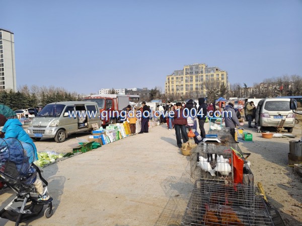 856f8042a65428ce70163adb6770ead4_1769384