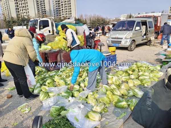 856f8042a65428ce70163adb6770ead4_1769384