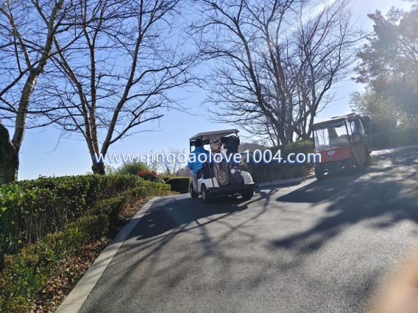 fcbcedead302100781aa3eba94bc5620_1767482