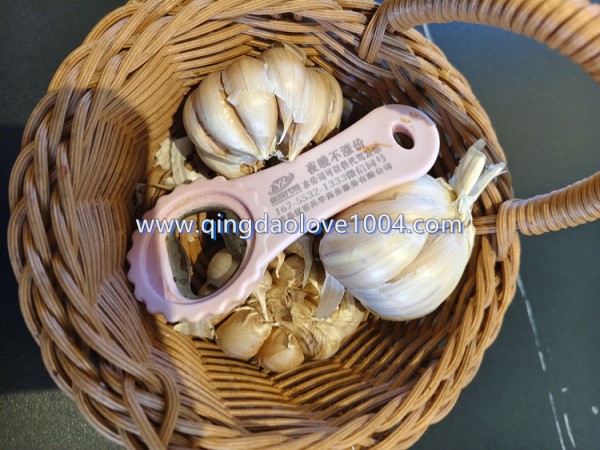 40f78c40662df3c14695b9adab6d5c71_1771021