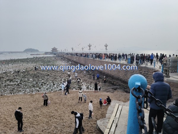 48fe2e6e18a142fd9866d4c57a492d70_1770504