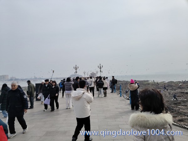 48fe2e6e18a142fd9866d4c57a492d70_1770504