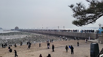 칭다오관광지 잔교