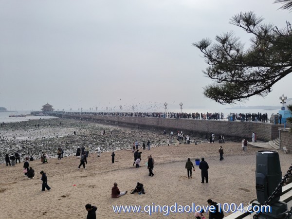 8981539b89f12ebb8241f14beeb394c1_1772158