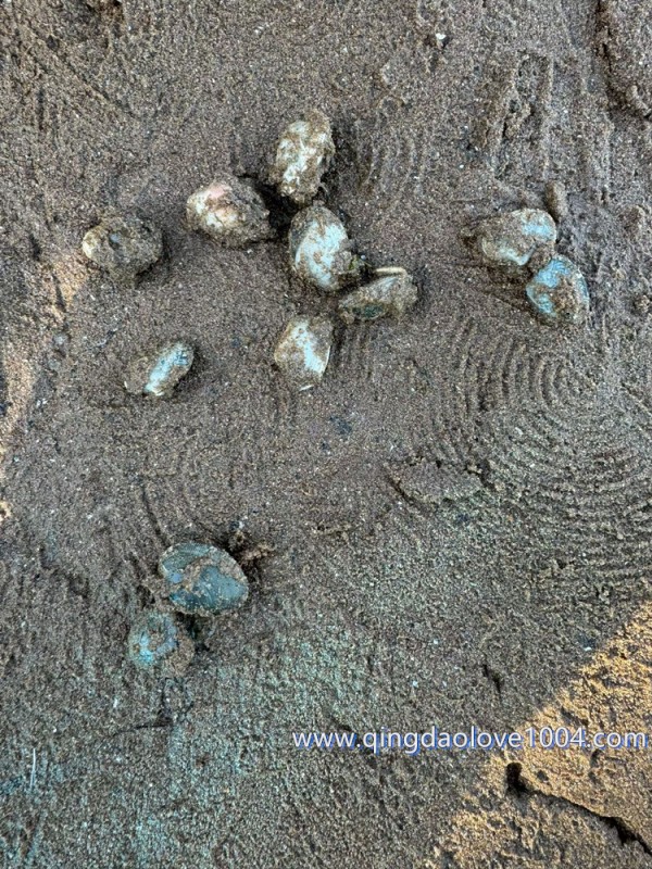 ba8ff490e82e687870f27b56b066b267_1771804