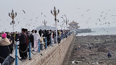 칭다오관광지에서 가장 관광객 많이 모이는곳
