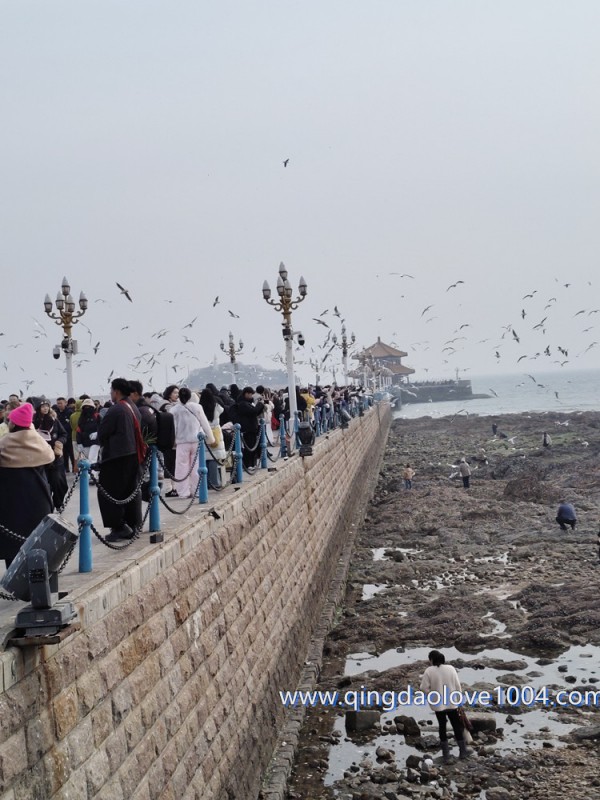 ba57e82af8205d6813af133edd9993b4_1772579