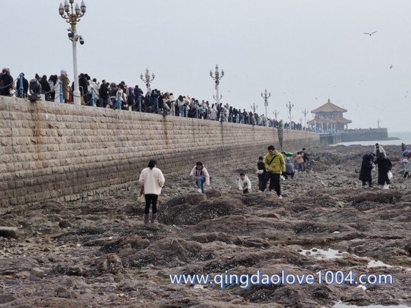 ba57e82af8205d6813af133edd9993b4_1772579