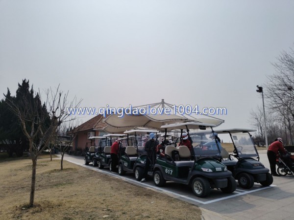 cb2006de8295d4430f5cd907f3f0544a_1774647