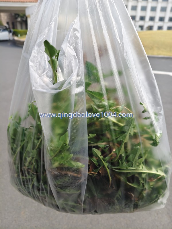 e09cd241b0f300f34048c6c03b429f17_1774733