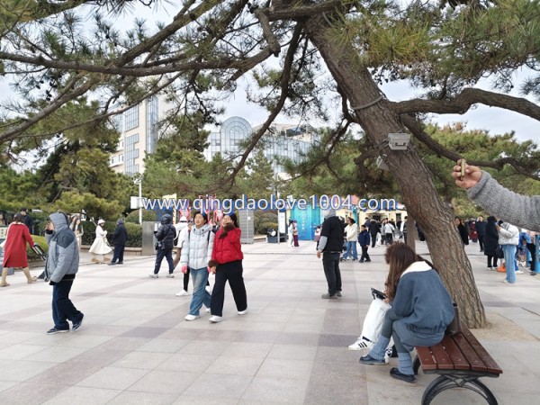 f8c1b0749f0f0ca182593ec955d744af_1773012