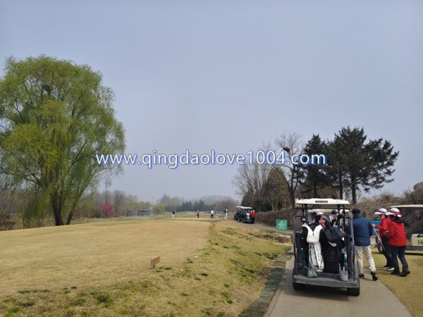 34e4e58fa20b19e598ec5815be832008_1775088