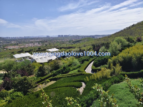 3f732286870d198416878cdbed0a7245_1777161