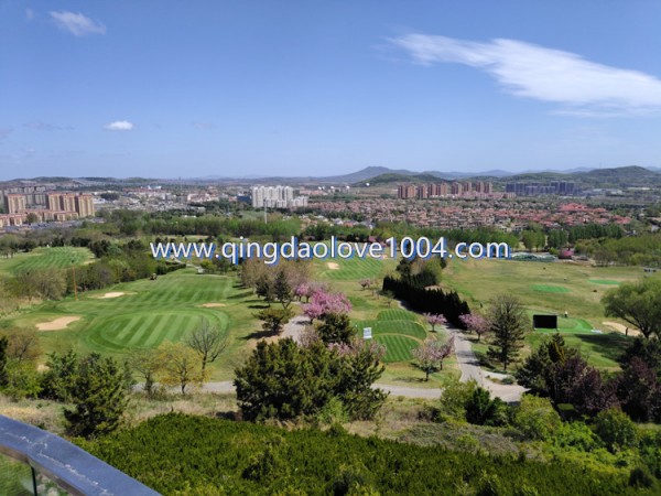 3f732286870d198416878cdbed0a7245_1777161