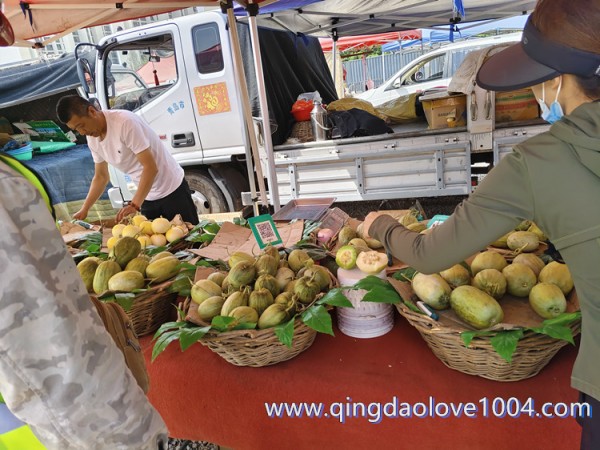 ce6a492f25b6b8090205f848b6295a1a_1776811