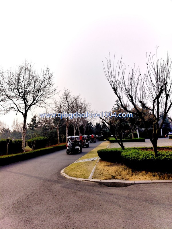 92f970895a46257411cf2dc914569de5_1779232
