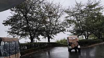 천태cc